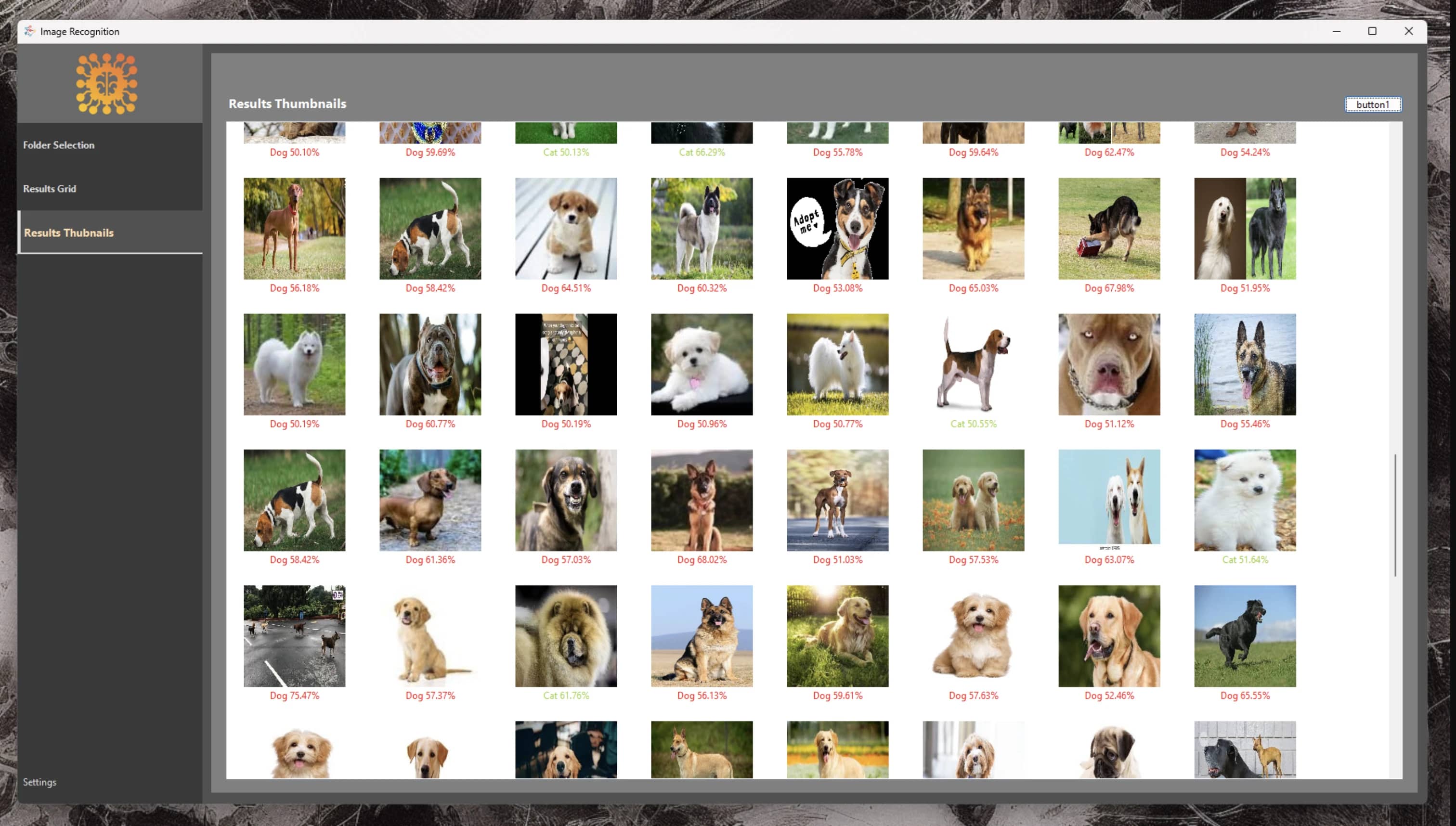 Preview of Image Recognition