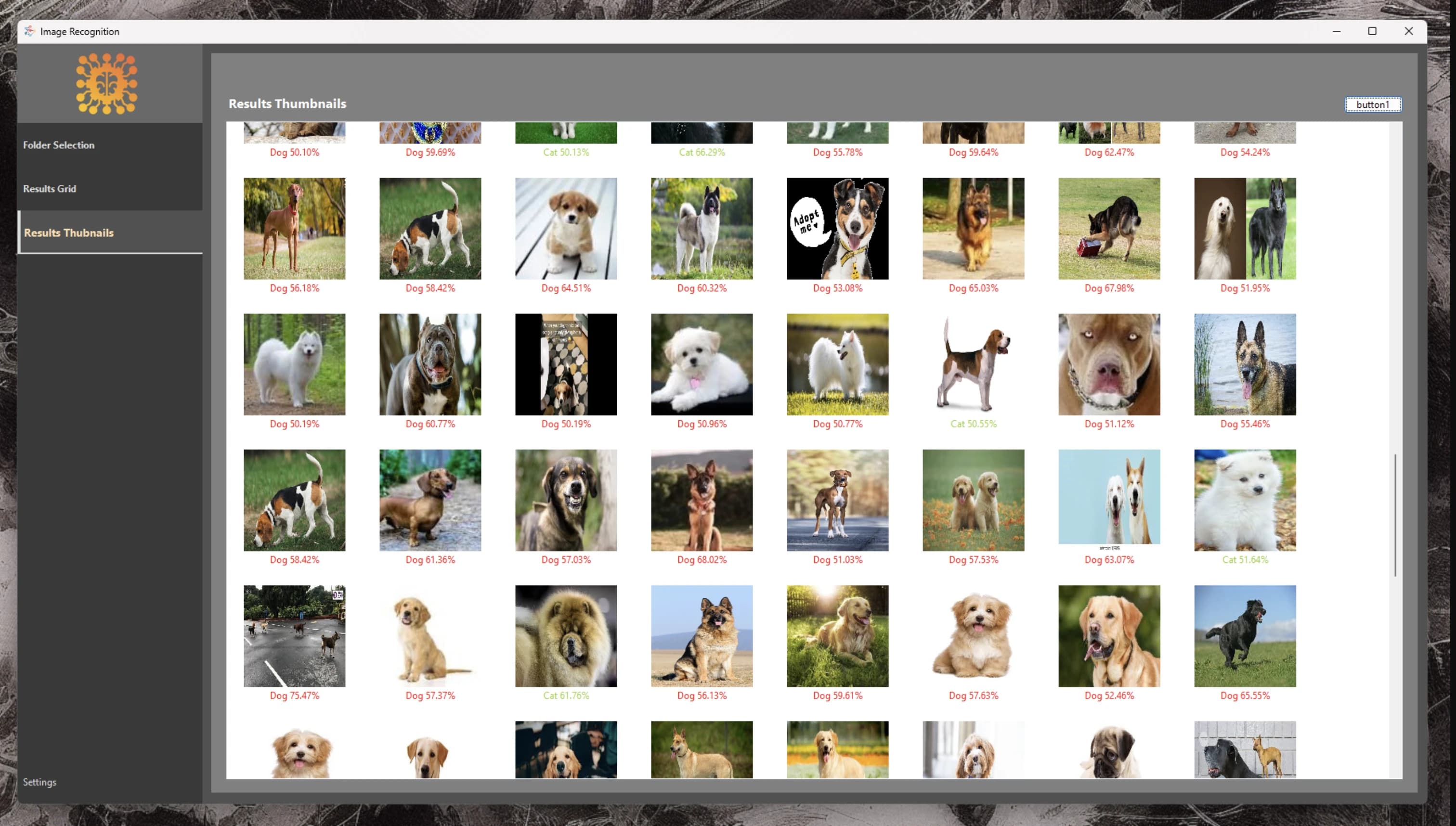 Preview of Image Regonition App