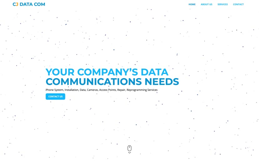 Preview of CJ DATA INC Website